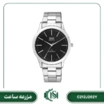 ساعت مچی مردانه کیو اند کیو مدل C212J202Y